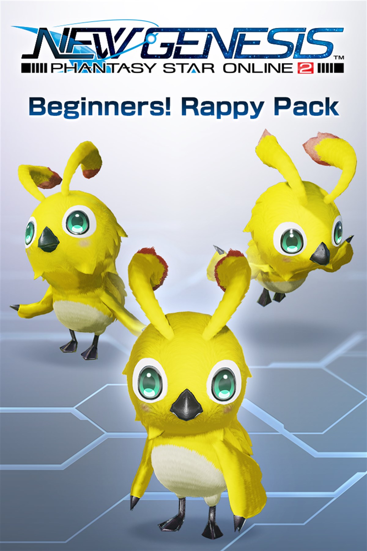 PSO2:NGS - Beginners! Rappy Pack