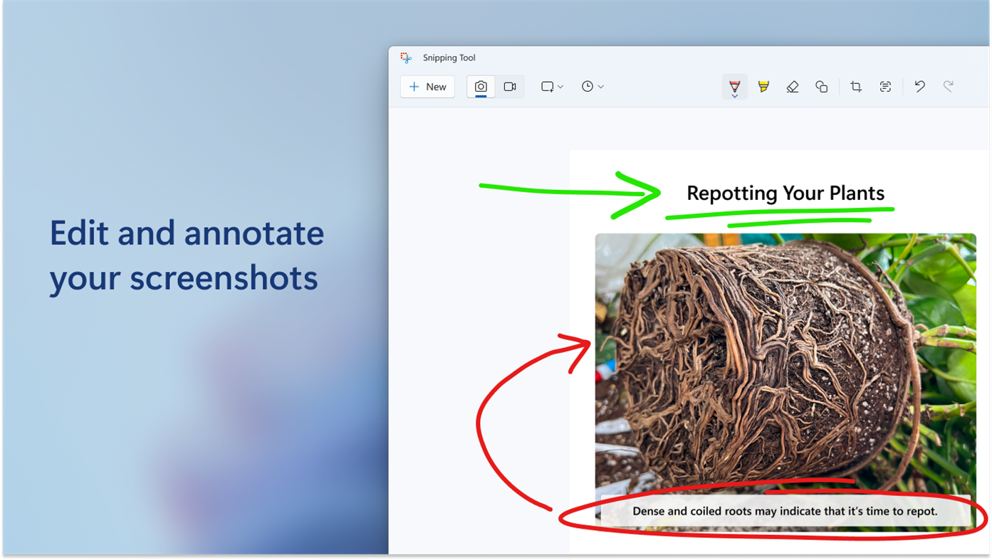 #3. Snipping Tool (Windows) By: Microsoft Corporation