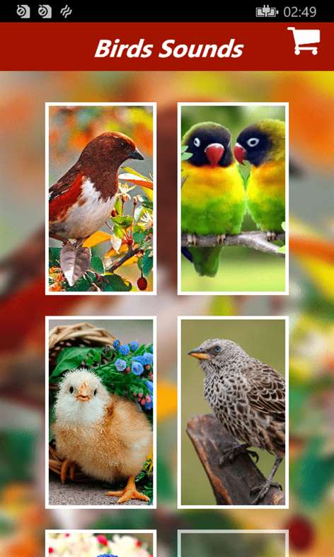 Bird Sounds-Relax and Sleep Screenshots 1
