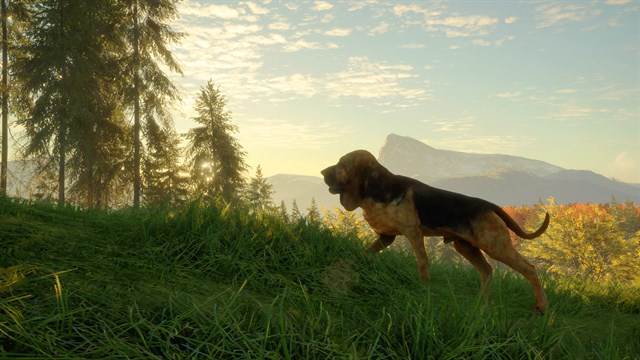 theHunter: Call of the Wild - Bloodhound screenshot 4