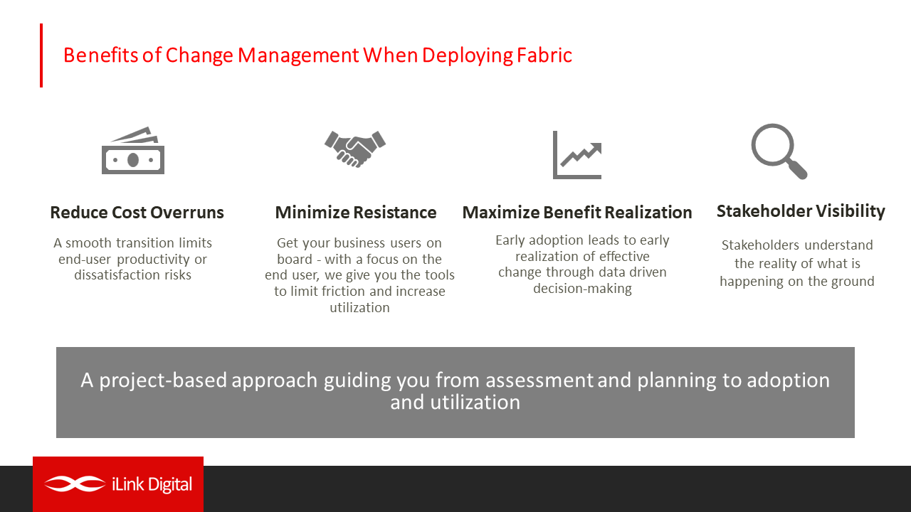 Snapshot 1 of Thrive with Fabric: Change Management & Adoption Support 6-Mth Implementation