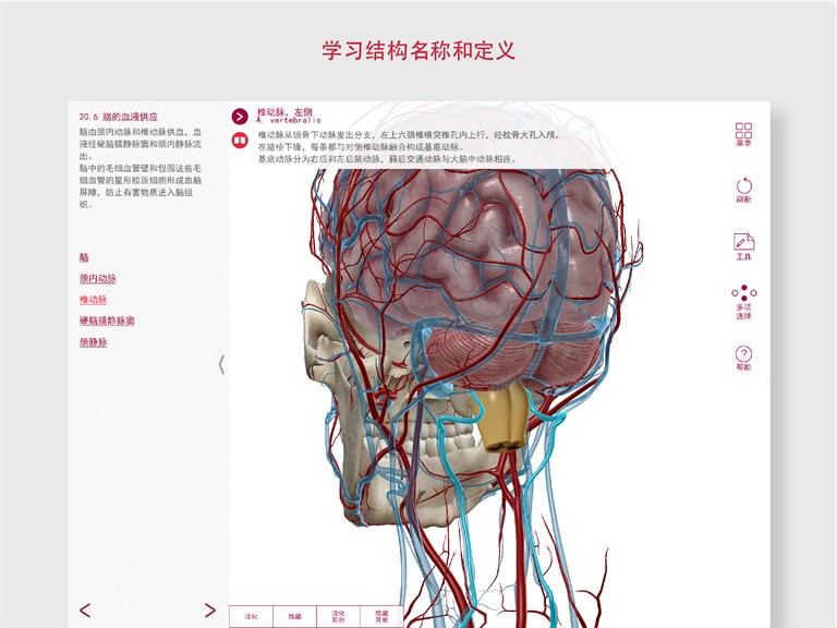解剖和生理学: 人体系统的介绍 - Microsoft Store 中的官方应用