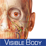 Human Anatomy Atlas - 3D Anatomical Model of the Human Body – Guide for Medical Students & Doctors