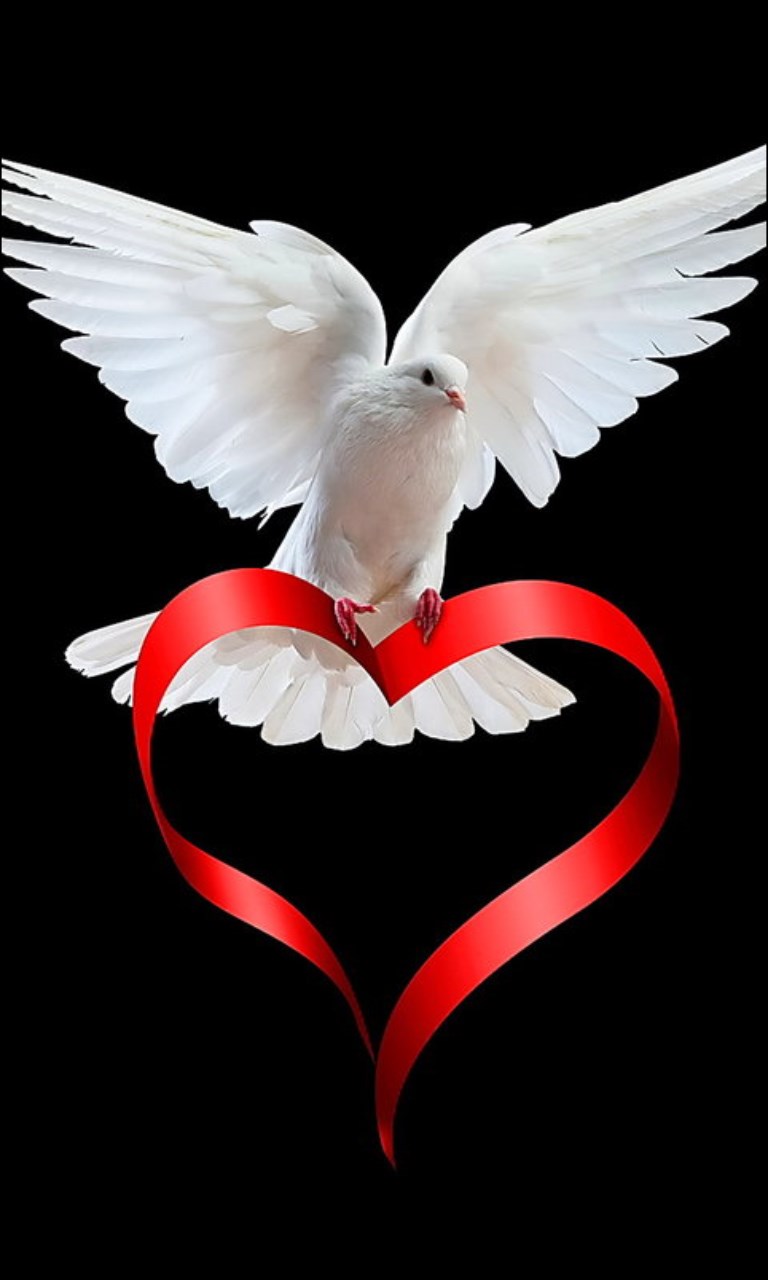 Get Love Wallpaper Hd Microsoft Store