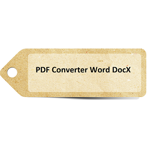 PDF Converter Word Docx