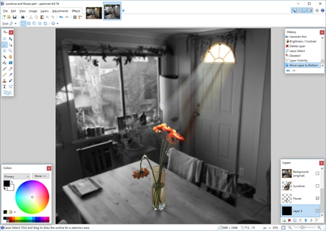 paint.net Screenshot