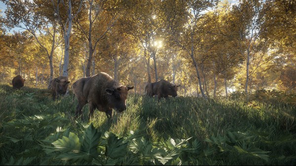 theHunter: Call of the Wild screenshot