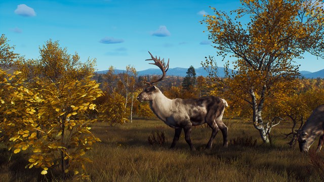 Way of the Hunter - Lintukoto Reserve screenshot 1