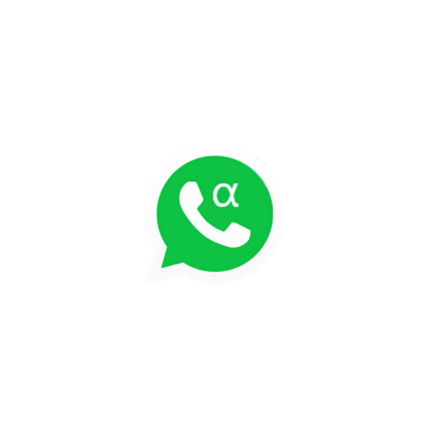 WhatsApp Beta Phone