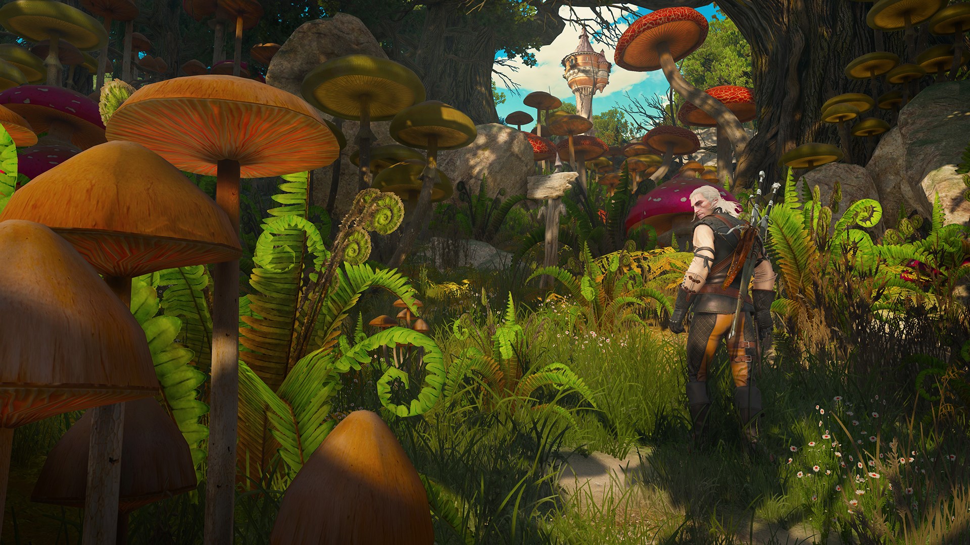 Screenshot 3 from The Witcher 3: Wild Hunt - Blood and Wine