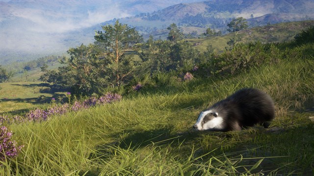 theHunter: Call of the Wild - Scotland Hunting Reserve screenshot 3