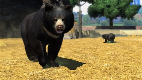 Zoo Tycoon Sloth Bear