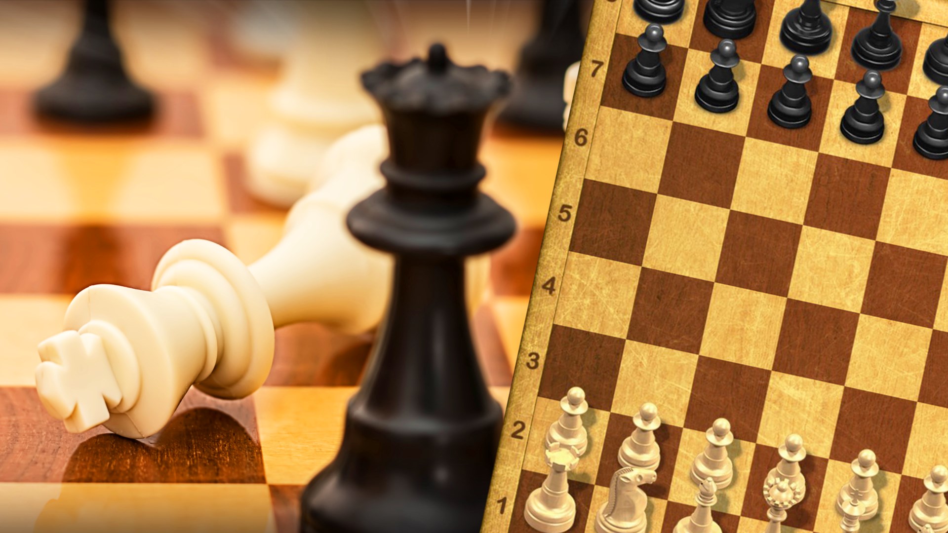 Schachmeister Multiplayer beziehen