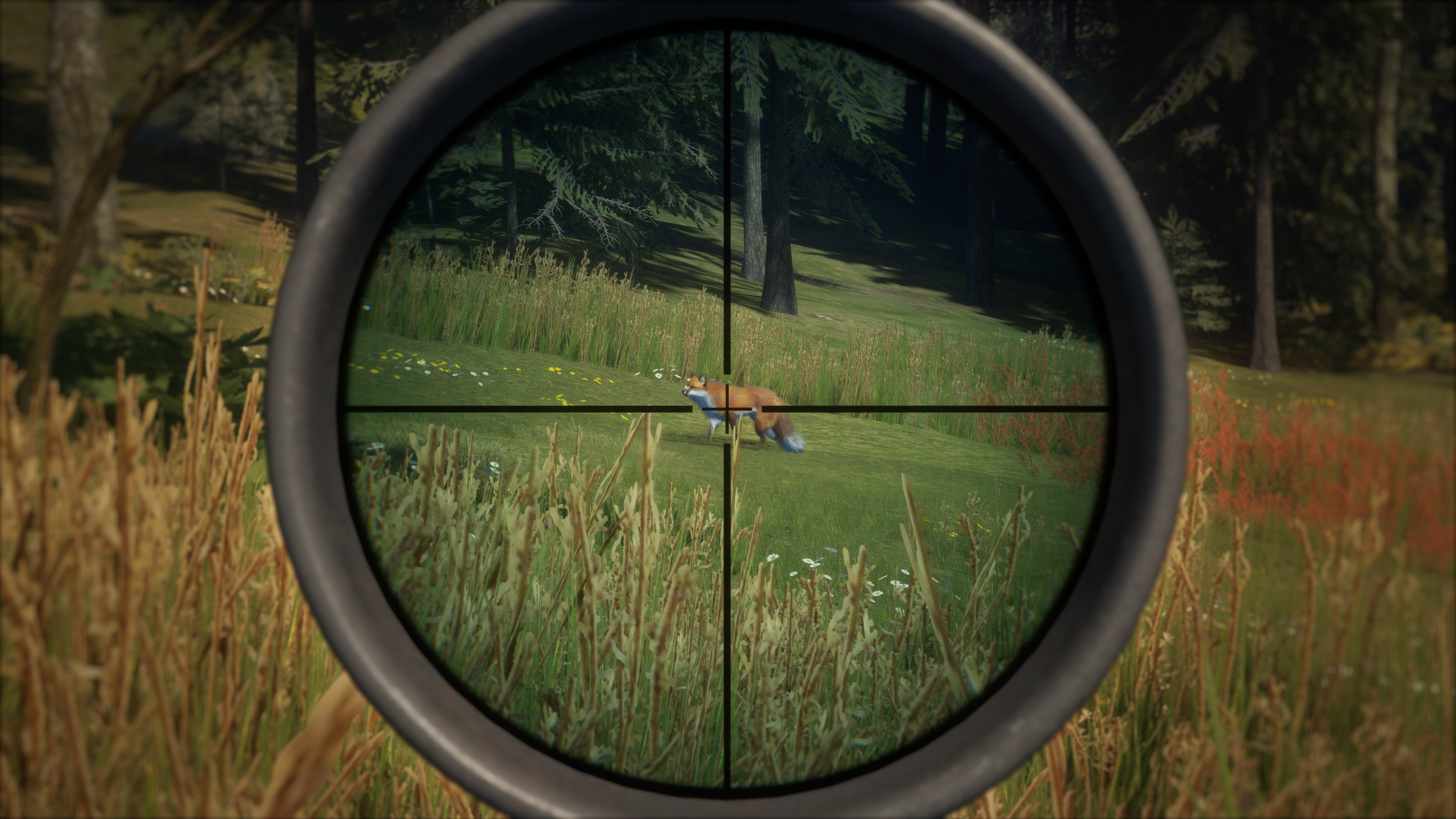 theHunter Call of the Wild™ - Scopes and Crosshairs Pack - Windows10 | Xbox | Chiave | Privato