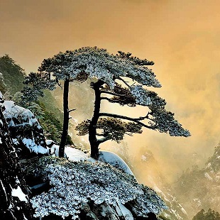 Beautiful Pictures Collection