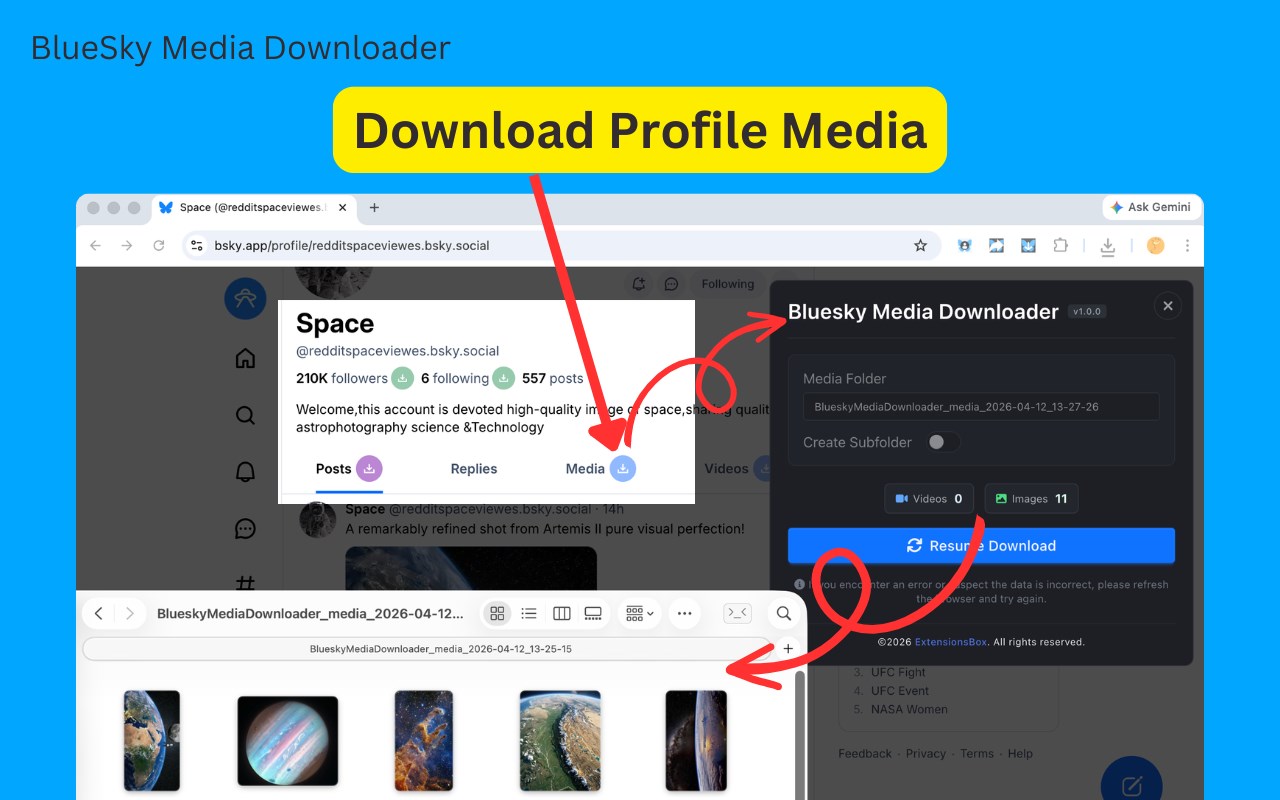 Bluesky Media Downloader