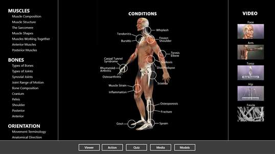 Muscle and Bone Anatomy 3D screenshot 3