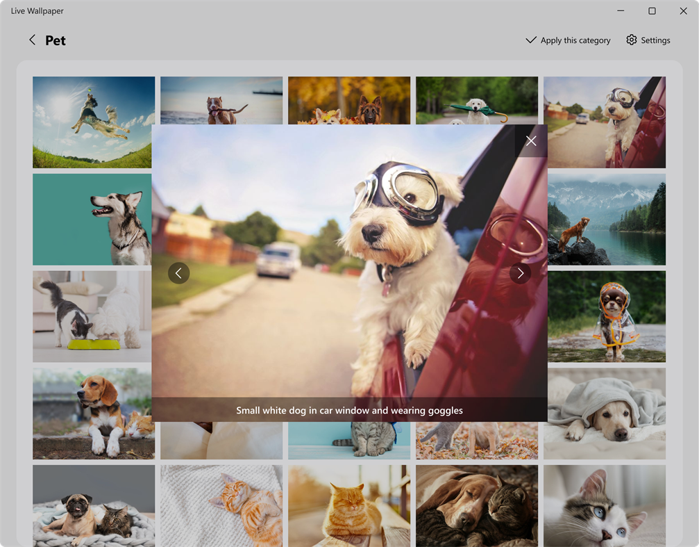 #3. Live Wallpaper (Windows) By: Samsung Electronics Co. Ltd.