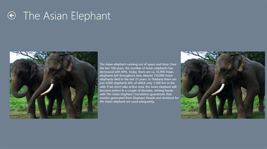 ElephantParade screenshot 4