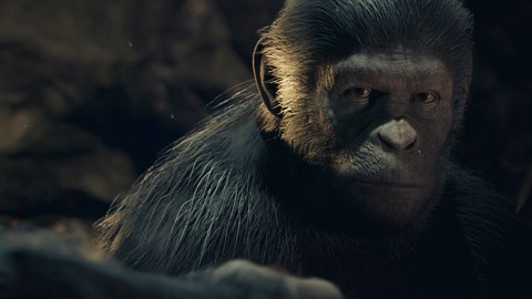 Planeta dos macacos: A ultima fronteira ps4 psn midia digital