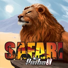 Aperçu Safari Pinball