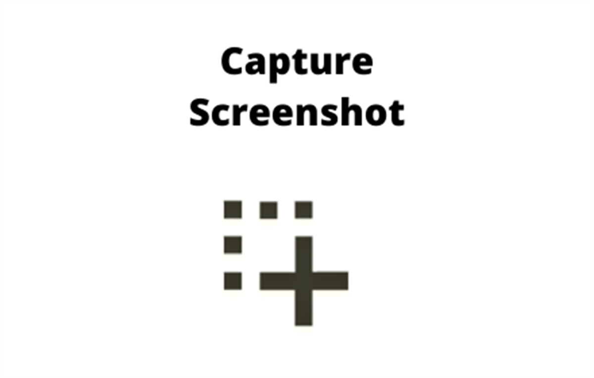 Capture Screenshots