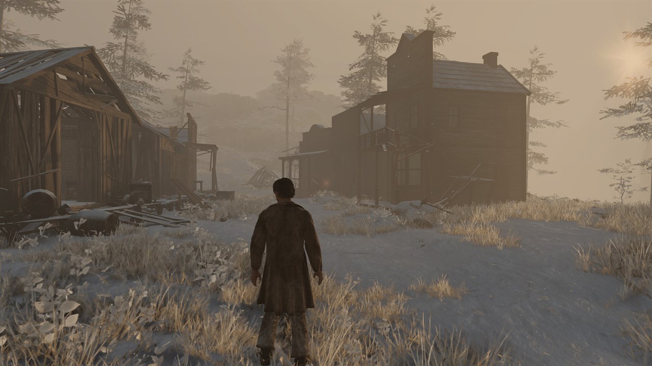 Wild West Legacy screenshot 3