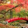 Bridges in Autumn icon