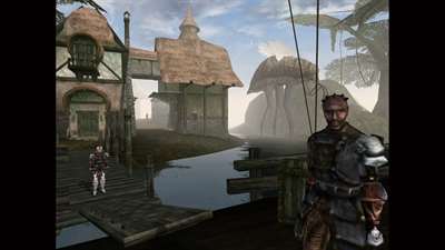 The Elder Scrolls III: Morrowind screenshot 3