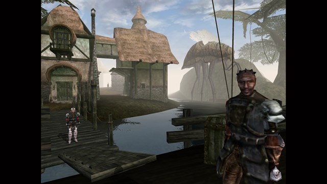 The Elder Scrolls III: Morrowind screenshot 3