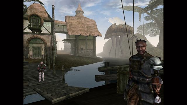 The Elder Scrolls III: Morrowind screenshot 8