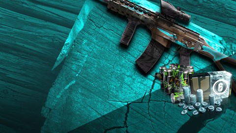 Pack de bienvenue signature (avec 7560 crédits R6)