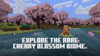 What is Minecraft? Build, Discover Realms & More