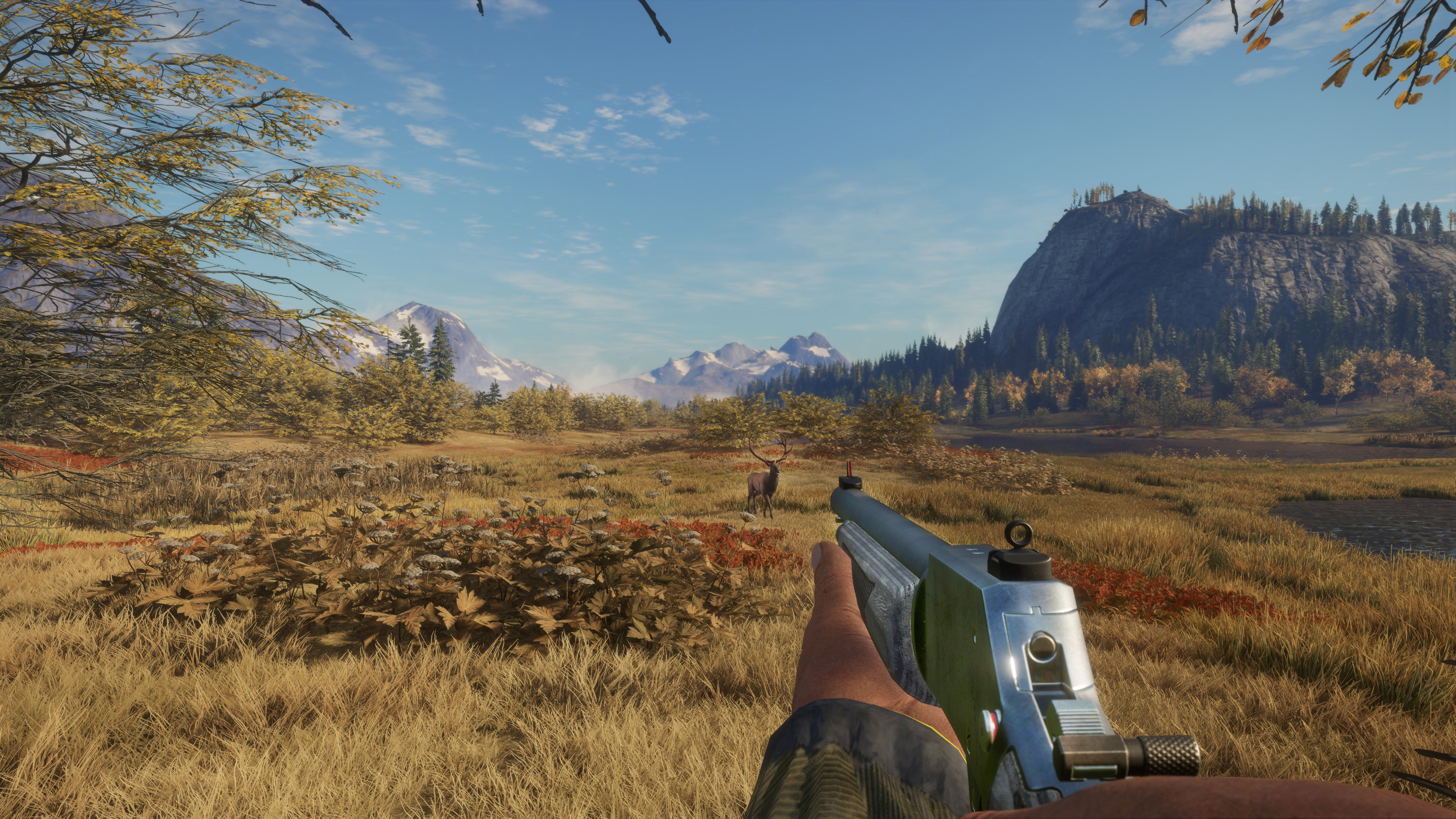 theHunter: Call of the Wild™ - Ambusher Pack | Xbox | Chiave | Privato