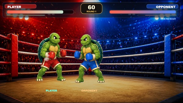 Turtles Boxing APG — 1