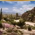 Forza Horizon 5 Premium Edition Unlock Key