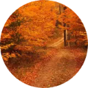 Connecticut Wallpaper New Tab icon