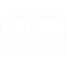 GX Password