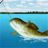 Man Fishing