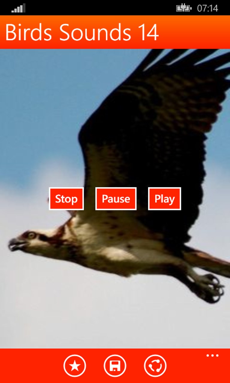 Get Birds Calls Sounds Microsoft Store