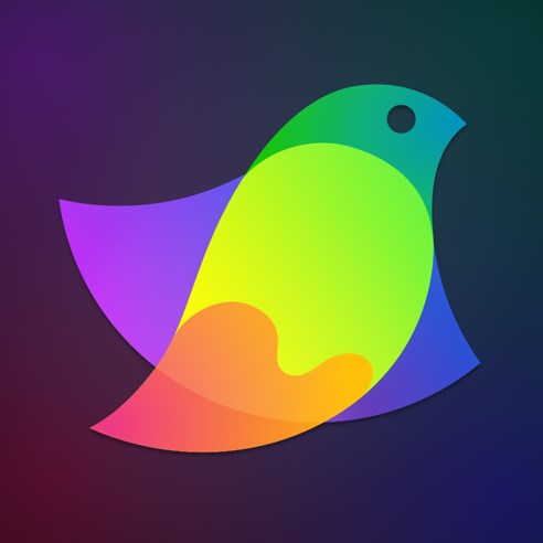 自动清理浏览器历史 icon