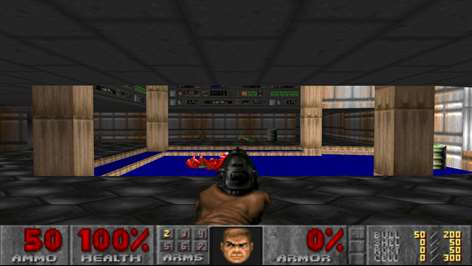 Ultima DOOM Screenshots 1