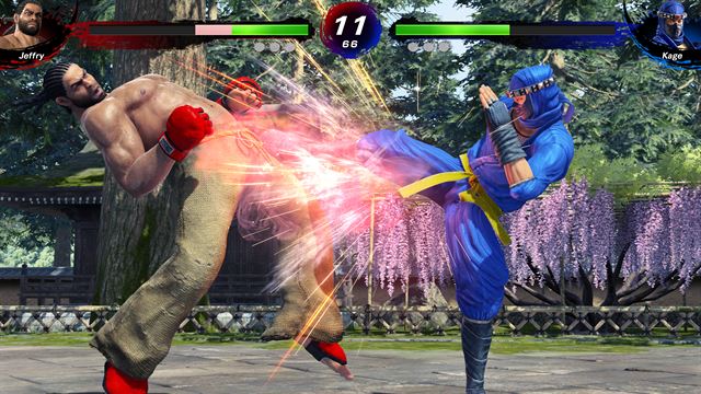 Virtua Fighter 5 R.E.V.O. World Stage screenshot 3