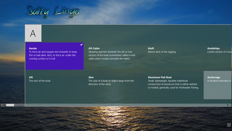 Salty Lingo - PC - (Windows)
