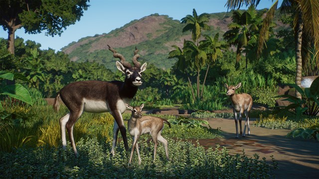 Planet Zoo: Asia Animal Pack screenshot 2