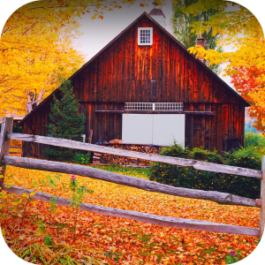 Autumn Wallpaper HD HomePage - Microsoft Edge Addons