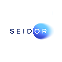 SEIDOR Business Apps Acelera Program image