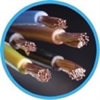 Electrical Expert
