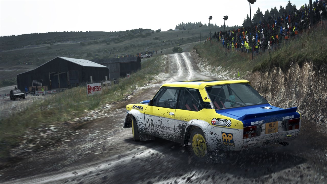 Dirt Rally screenshot 1