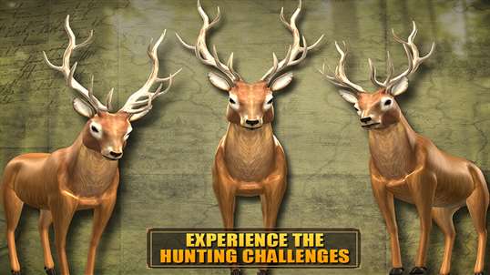Deer Hunting 2016 Pro - Mountain Sniper Shooting screenshot 4
